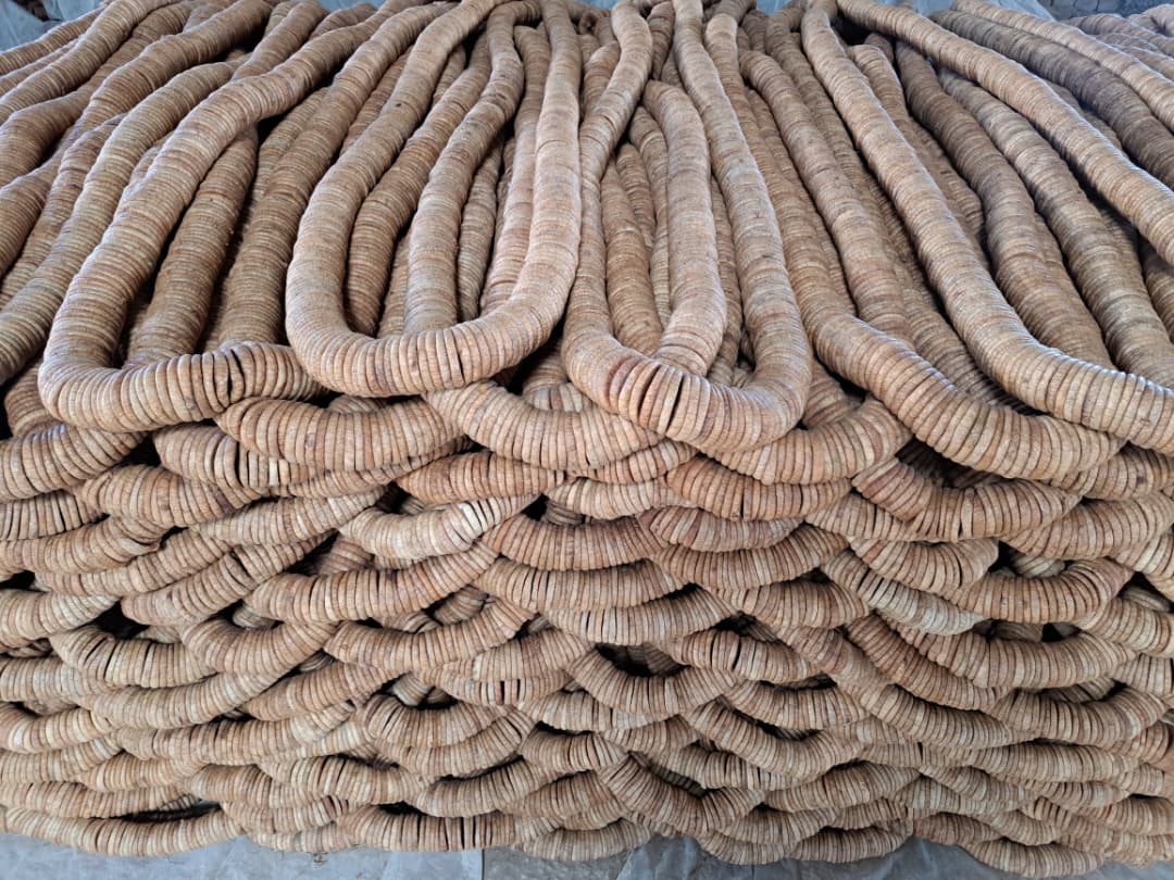 Dry Fruit 6