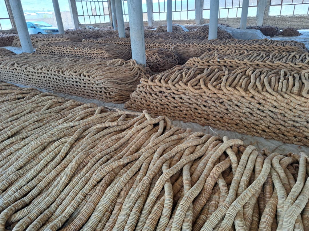 Large stocks of naturally dried Afghan figs
