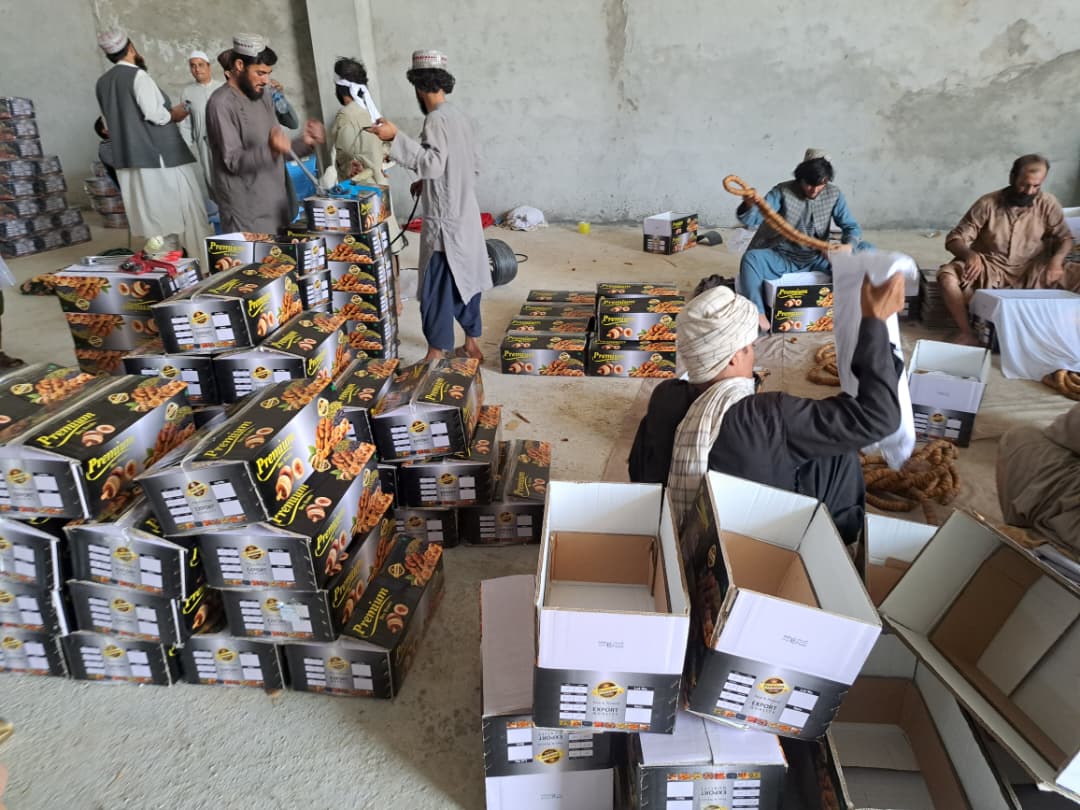 Dry fruit packing team at work