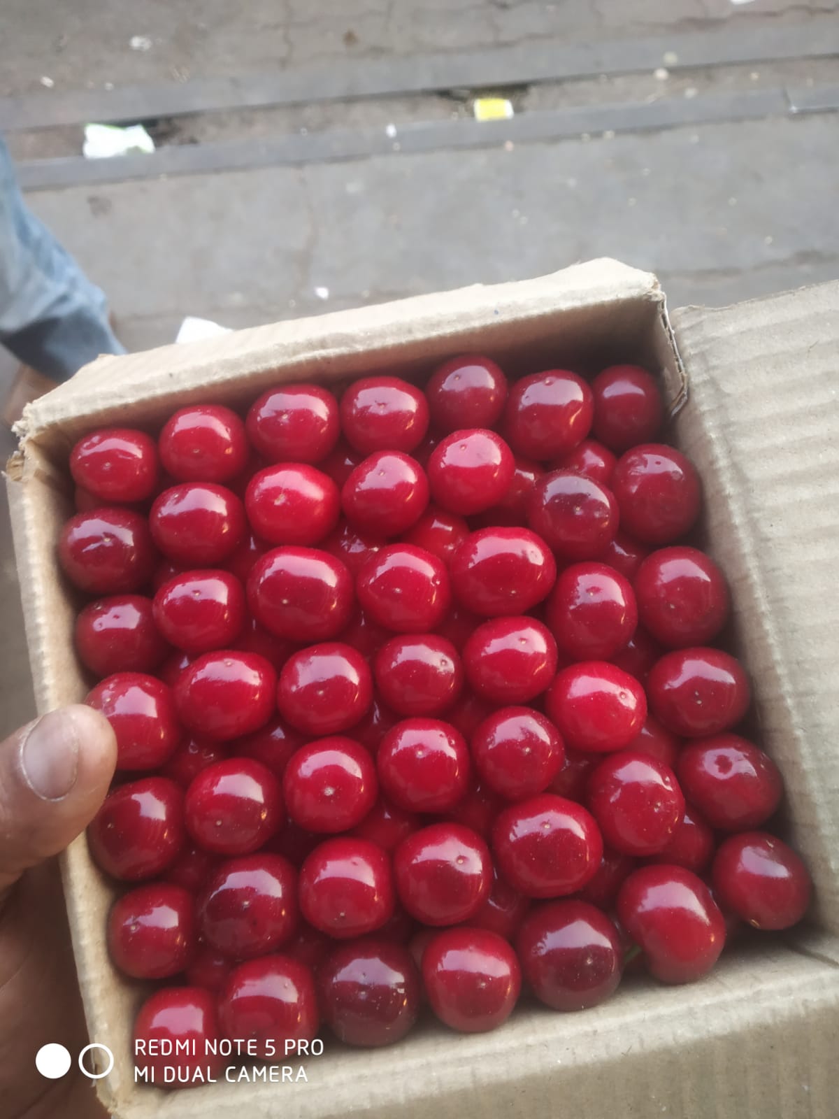 Fresh red cherries in a box